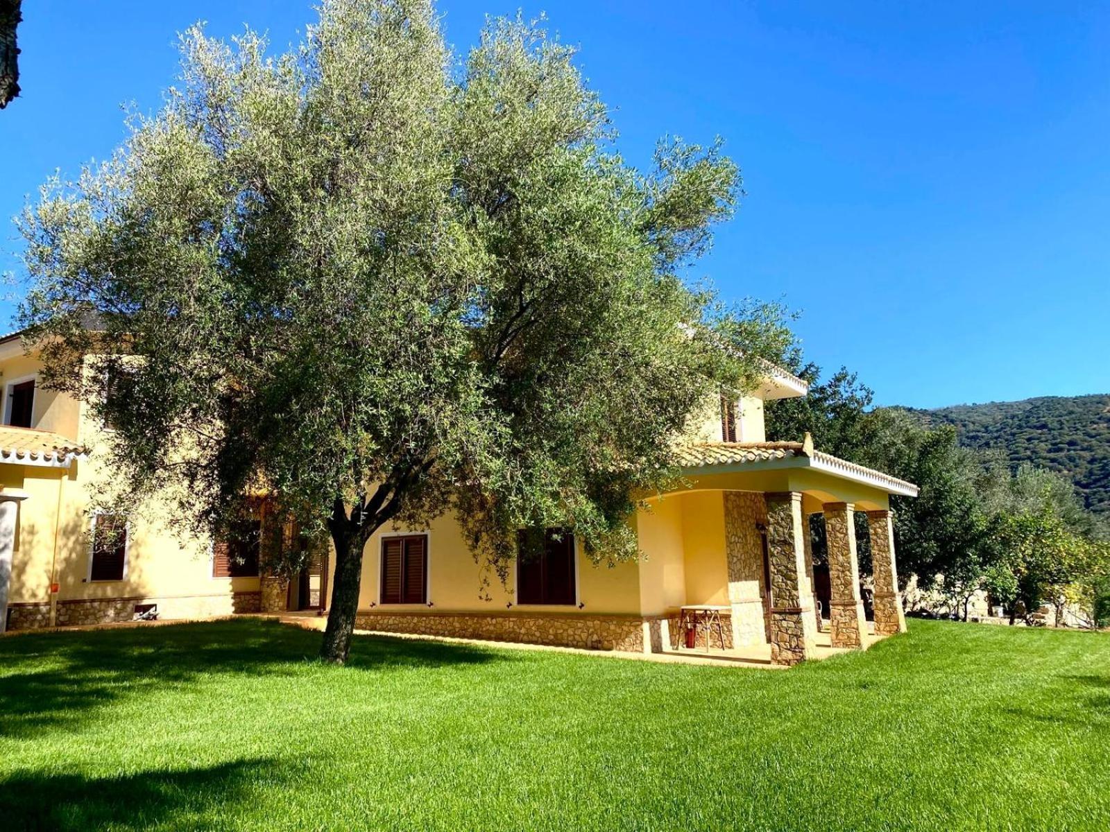 Villa With Pool Cardedu Buitenkant foto